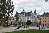 SUSA pozdravlja novelo Zakona o visokem &scaron;olstvu (ZViS), ki predvideva redno &scaron;portno vzgojo